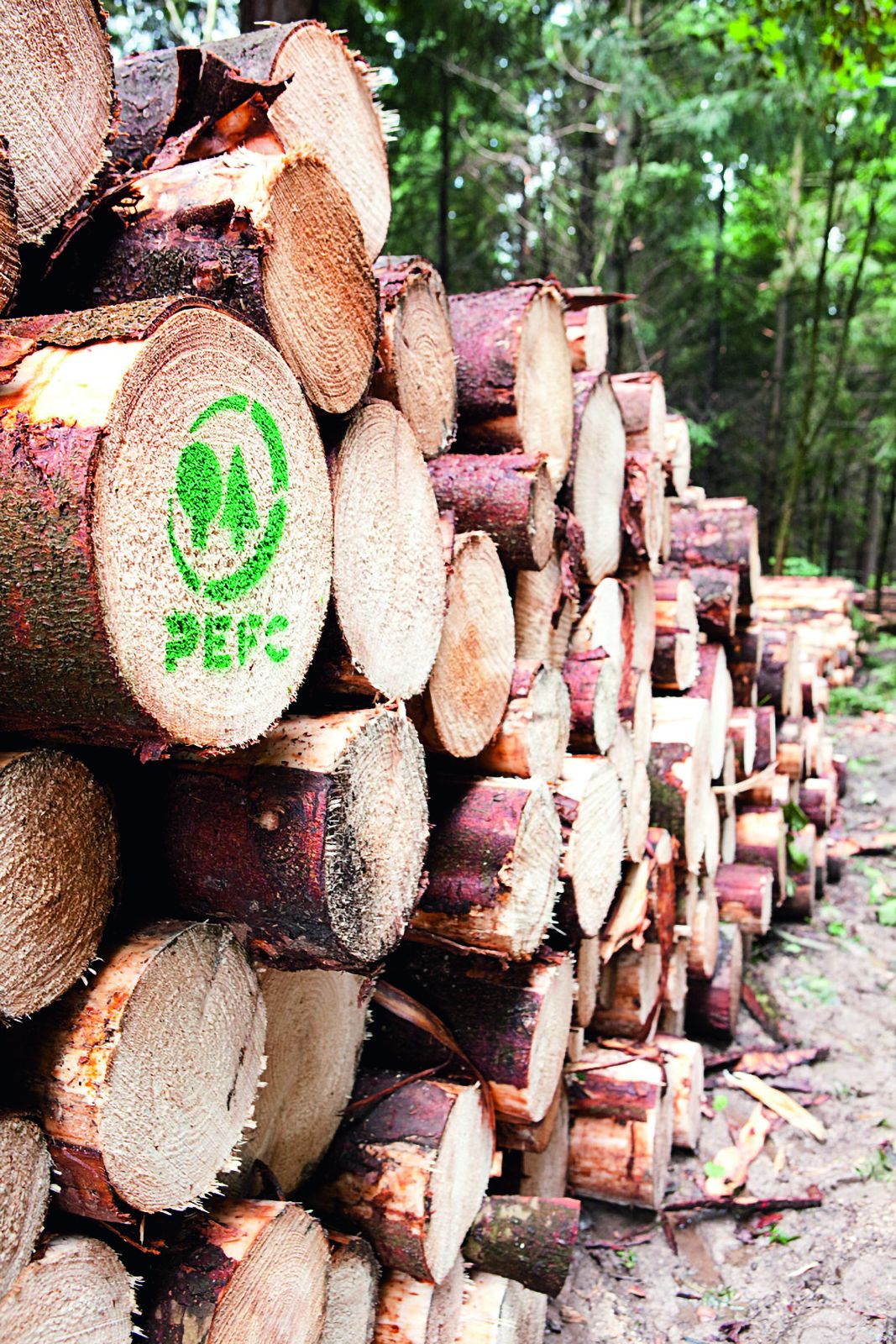 PEFC-certified timber